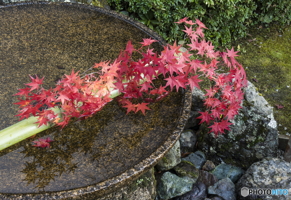 圓光寺のおもてなし