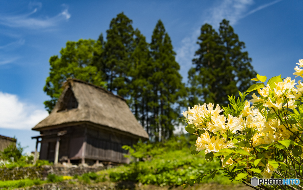 春の五箇山