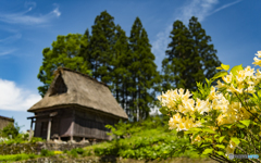 春の五箇山