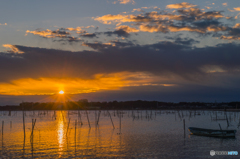 新春のお喜びを申し上げます。