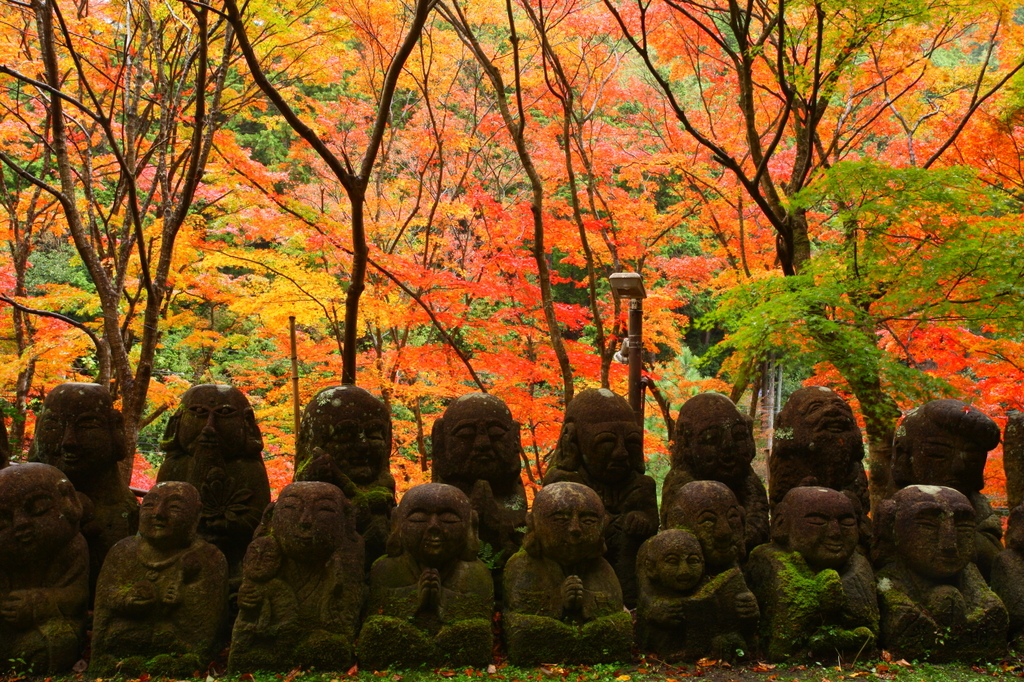 羅漢と紅葉