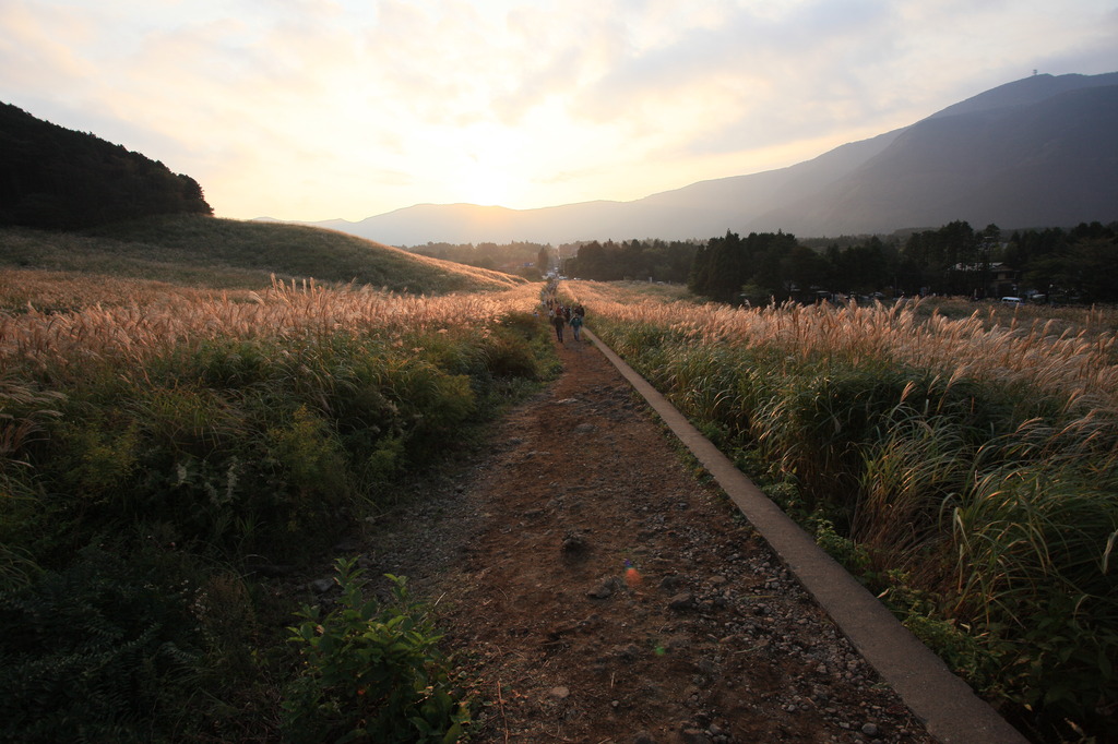 仙石原ハラドキドキ