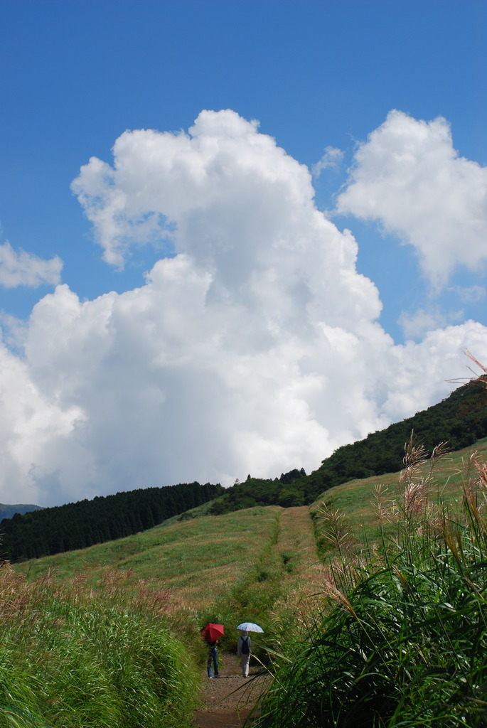 夏、箱根　仙石原