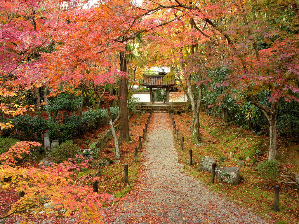 地蔵院