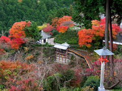 善峯寺