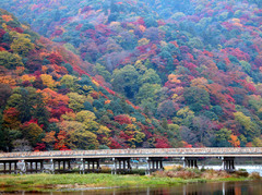 渡月橋 秋