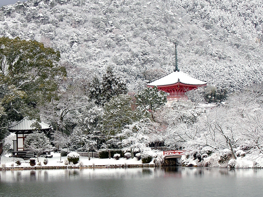 大覚寺大沢池 冬