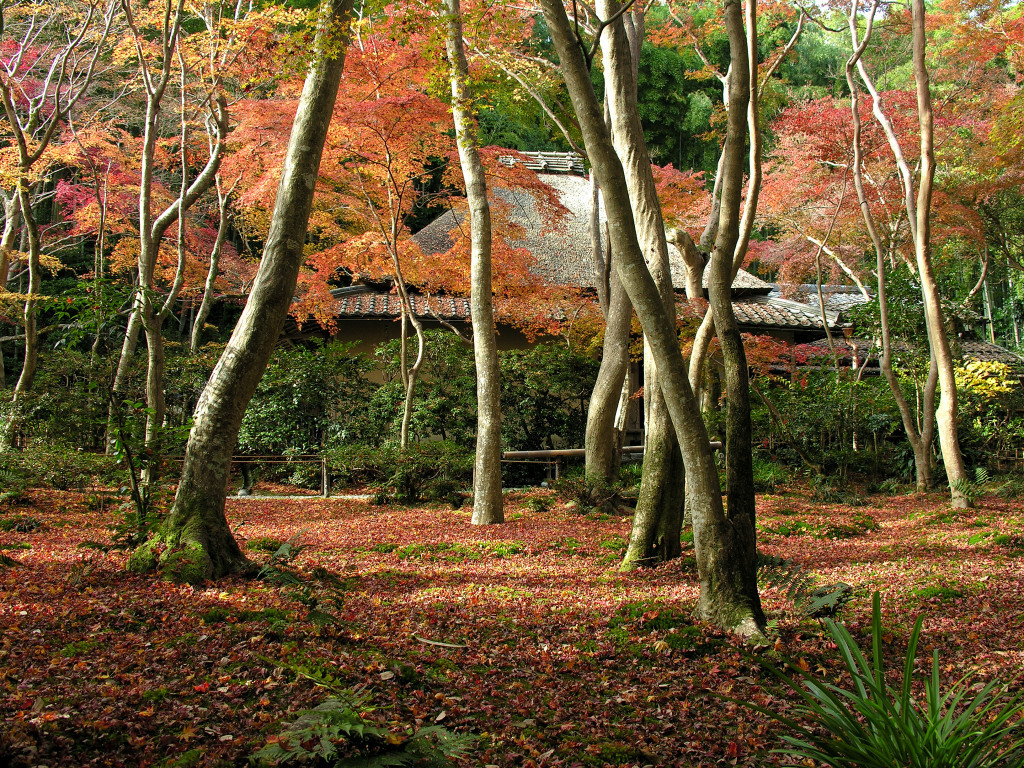 祇王寺