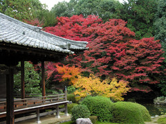 随心院