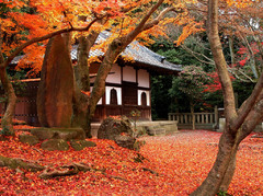 岩屋寺