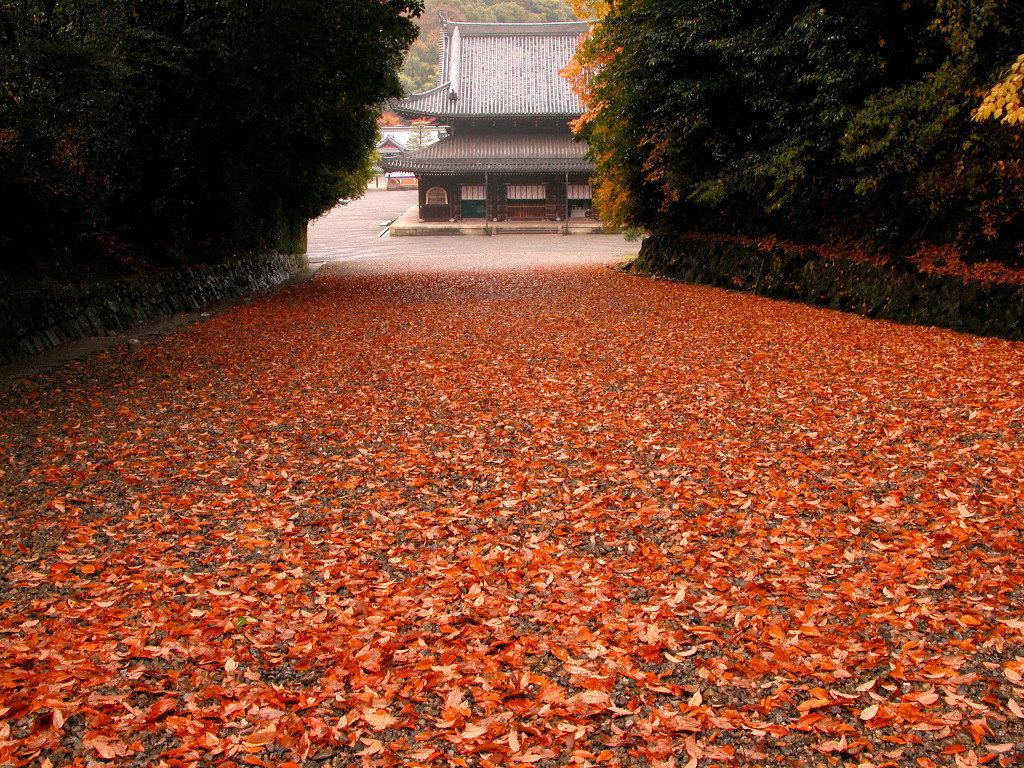 泉涌寺