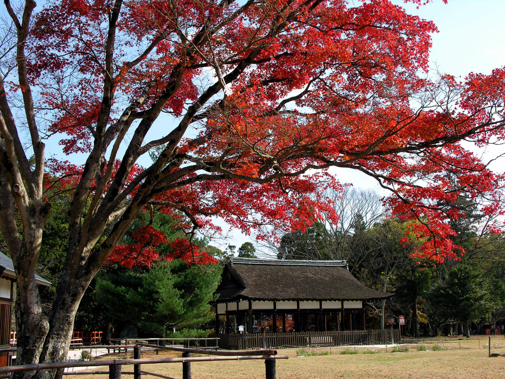 上賀茂神社