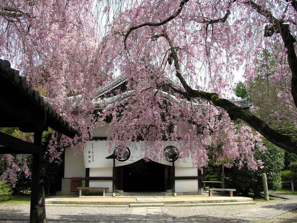 養源院