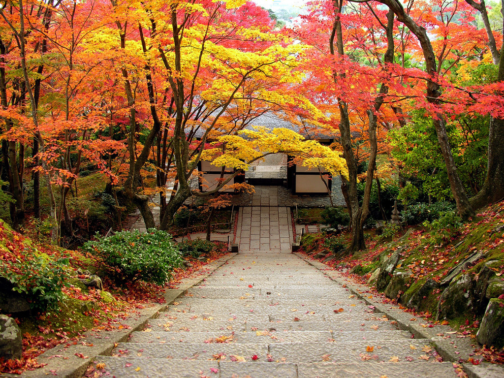 常寂光寺