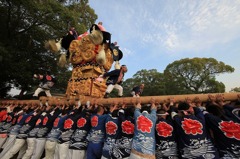 新居浜太鼓祭り