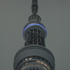 夜のスカイツリー