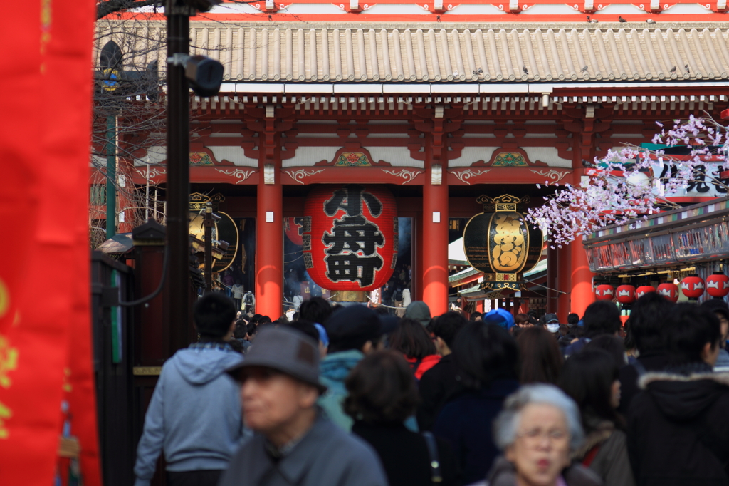 賑わいの数だけ、祈りがある