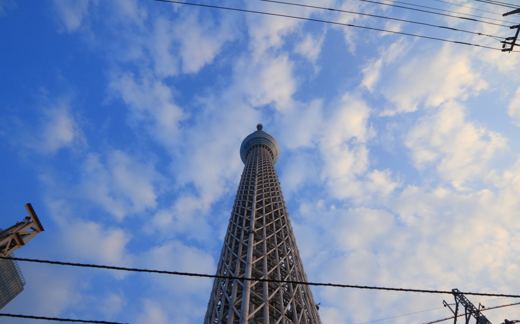 Skytree with Blue Sky