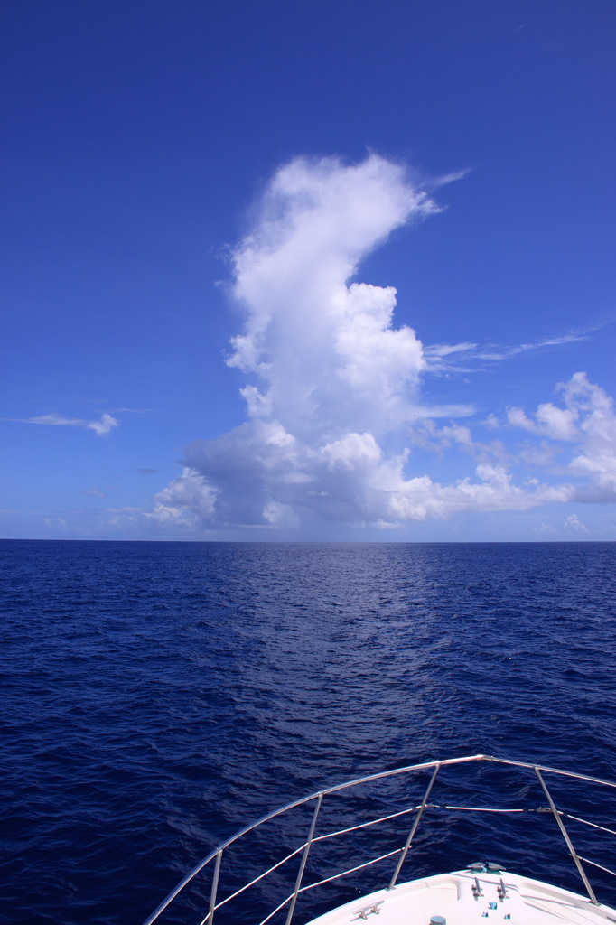 碧い海青い空
