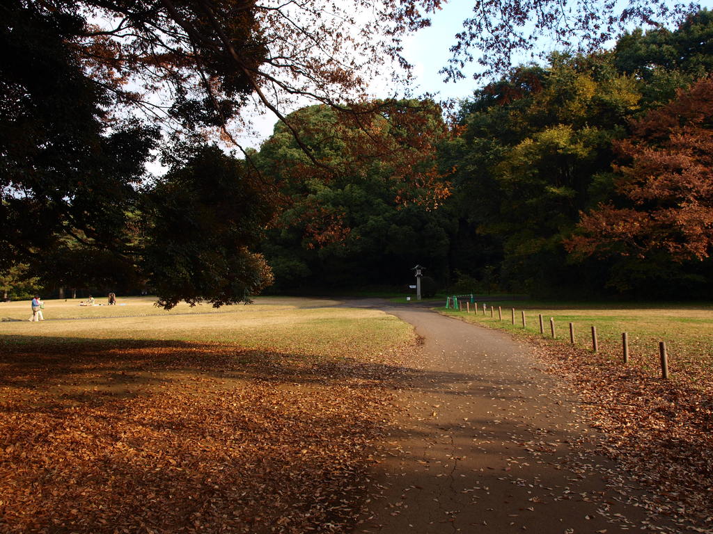 代々木公園にて