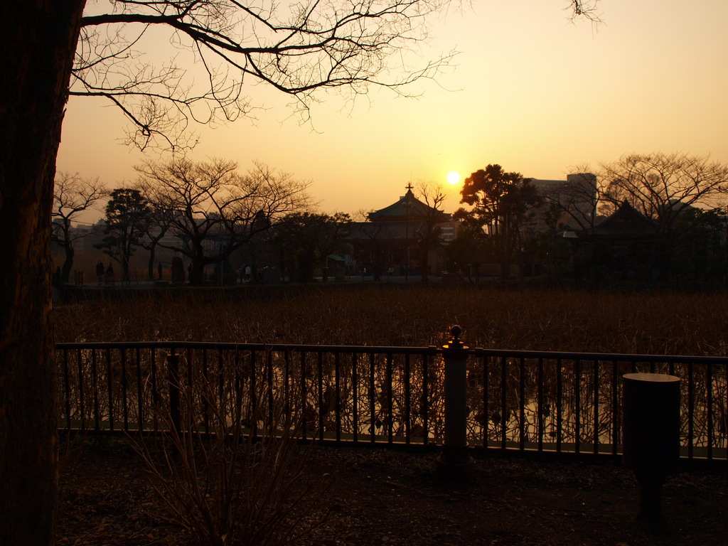2009_0205上野