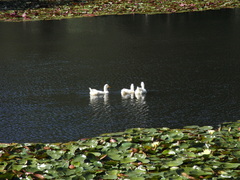 R0010853
