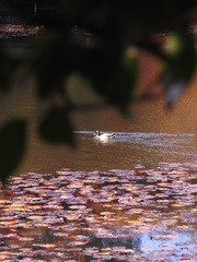 R0011404