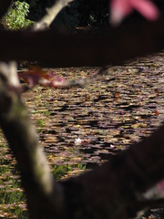R0011417