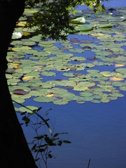 R0010796