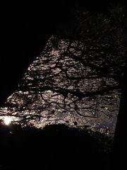 R0011409