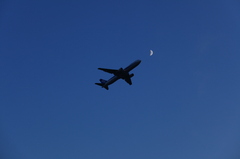 Flight in moonlight