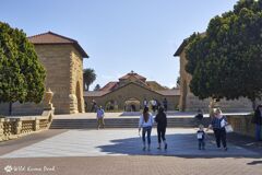 Stanford University