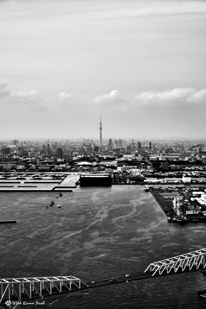 東京の新名所