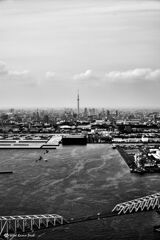 東京の新名所