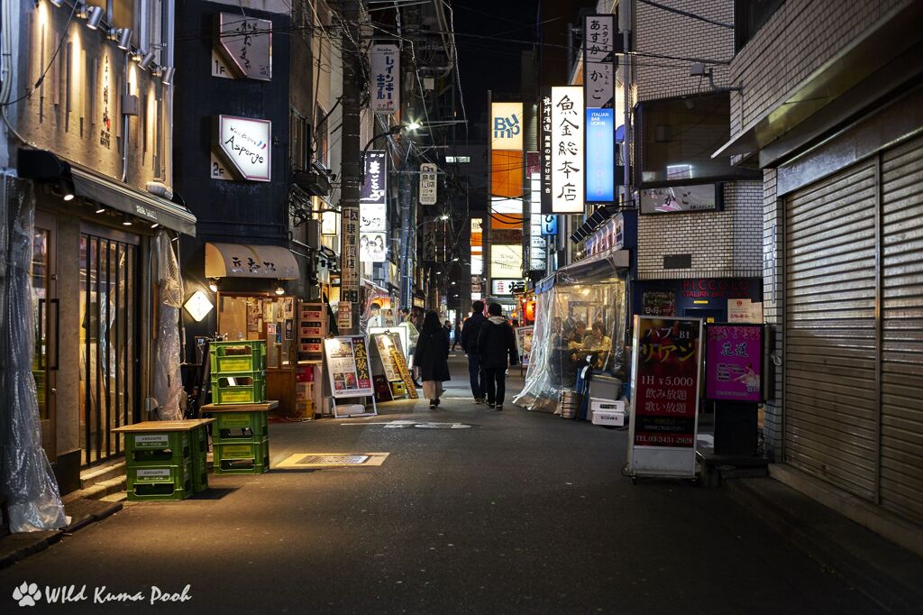 聖地探索