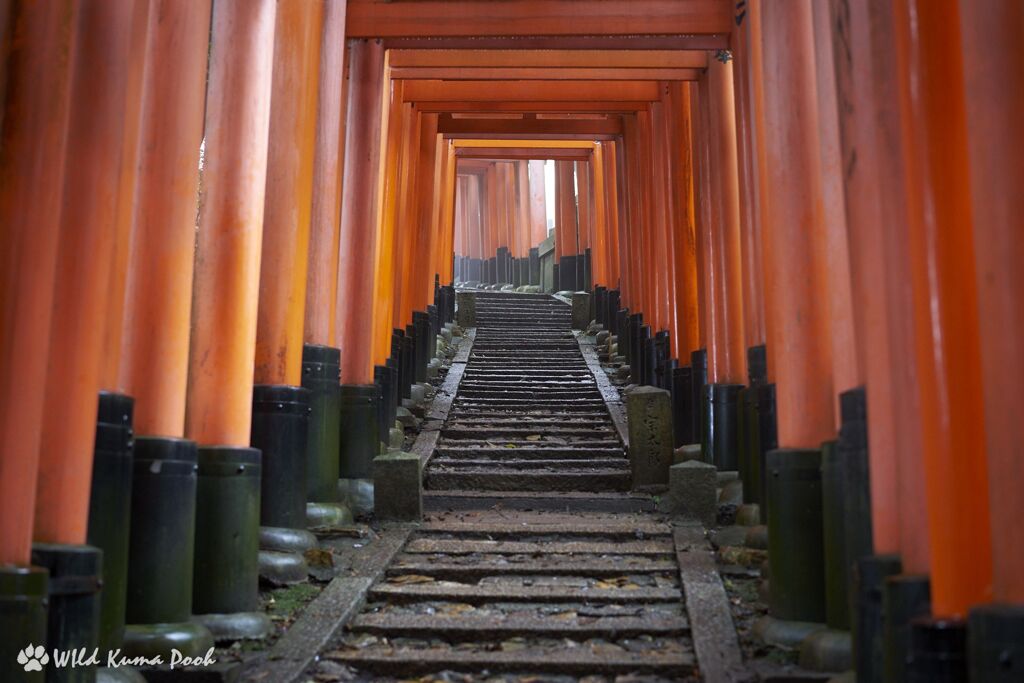 厳かな参道