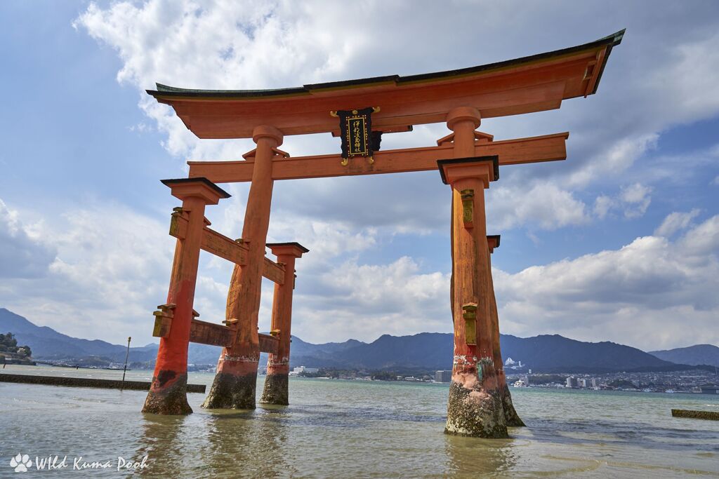 宮島さん