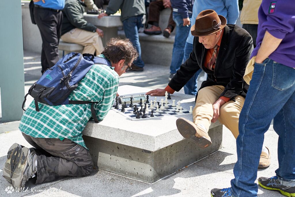 street chess