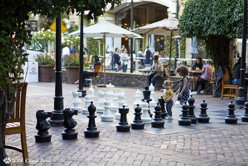 chess in the garden