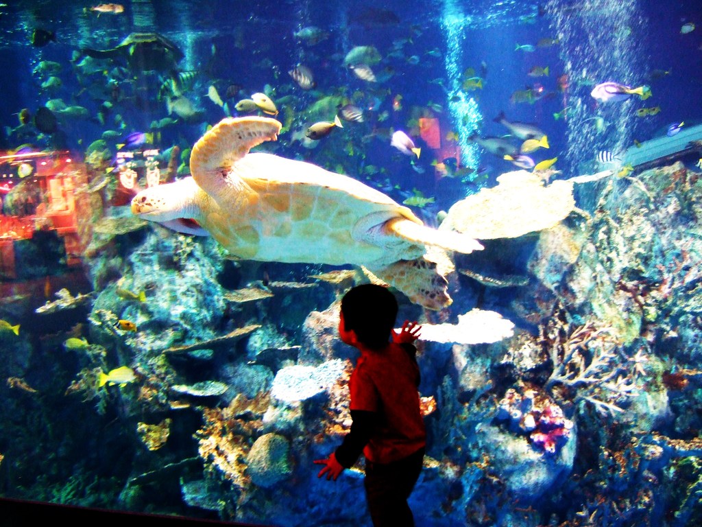水族館