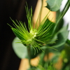 IMGP0144