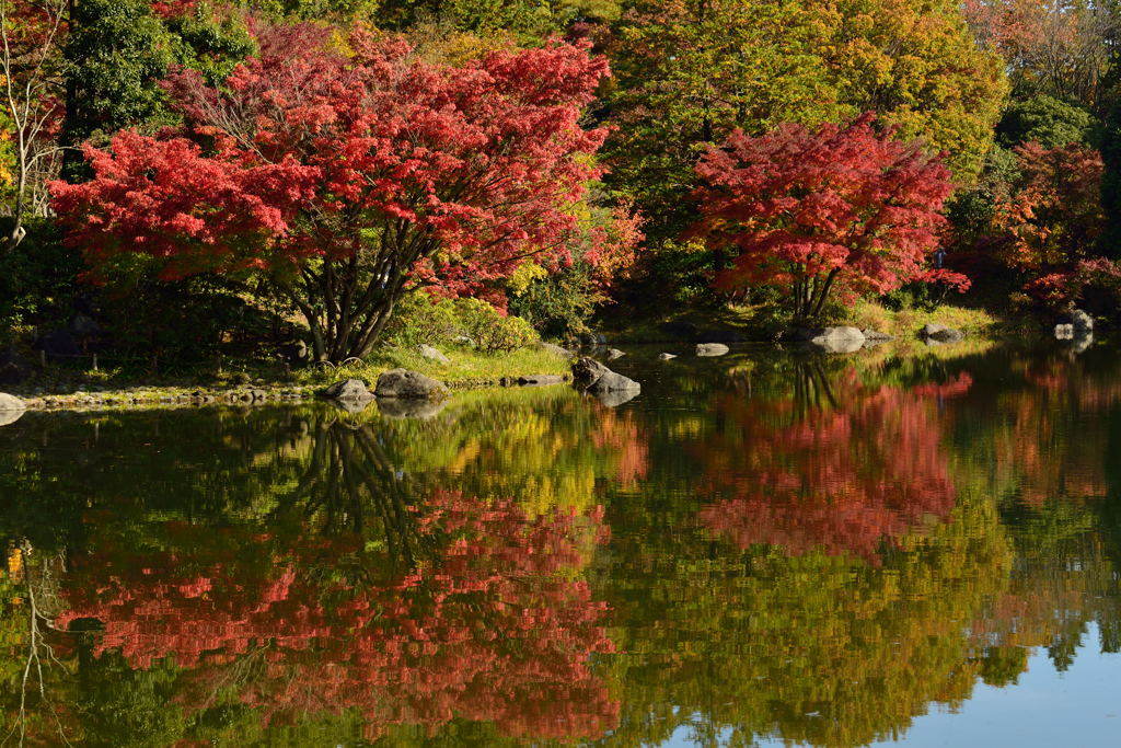 池の紅葉