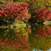 池の紅葉