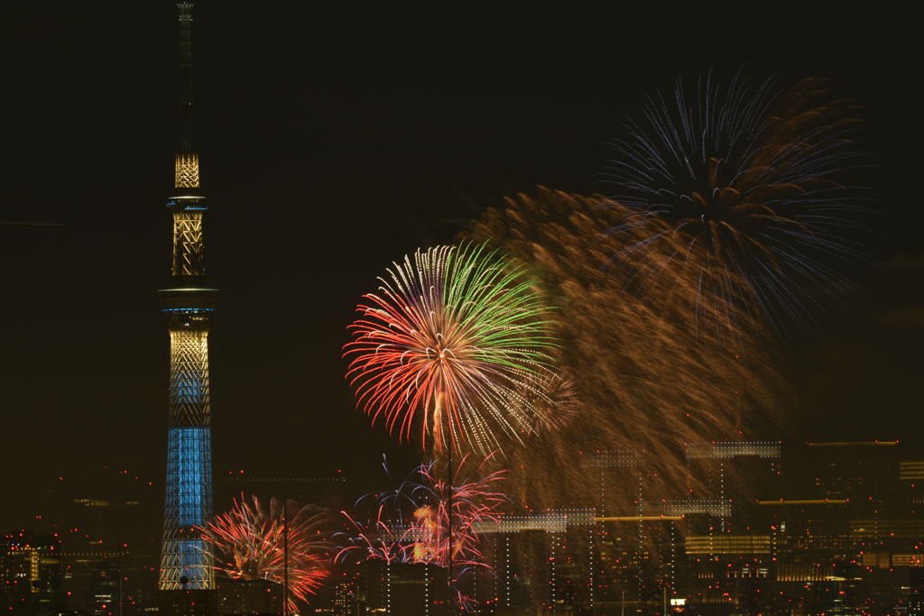 スカイツリーと花火②