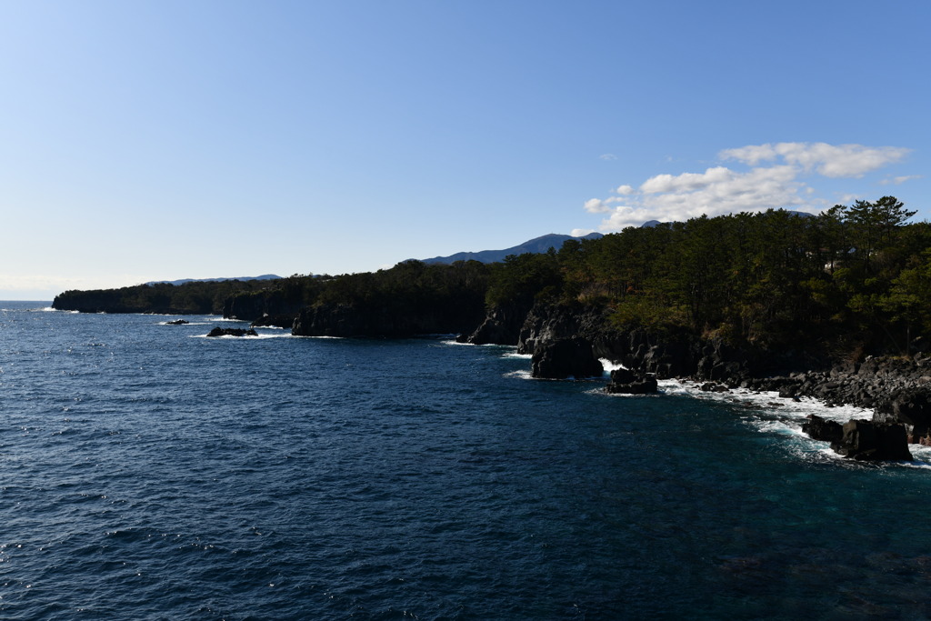 城ケ崎海岸①
