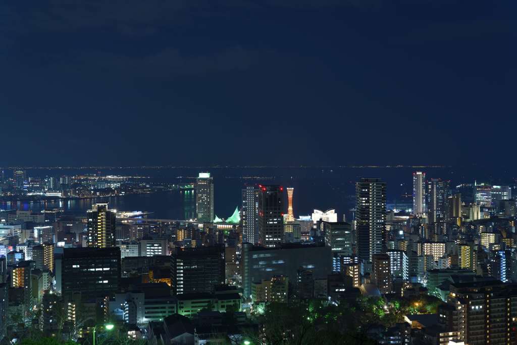 ビーナスブリッジからのポートタワー