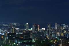 ビーナスブリッジからのポートタワー