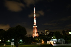 東京タワー①