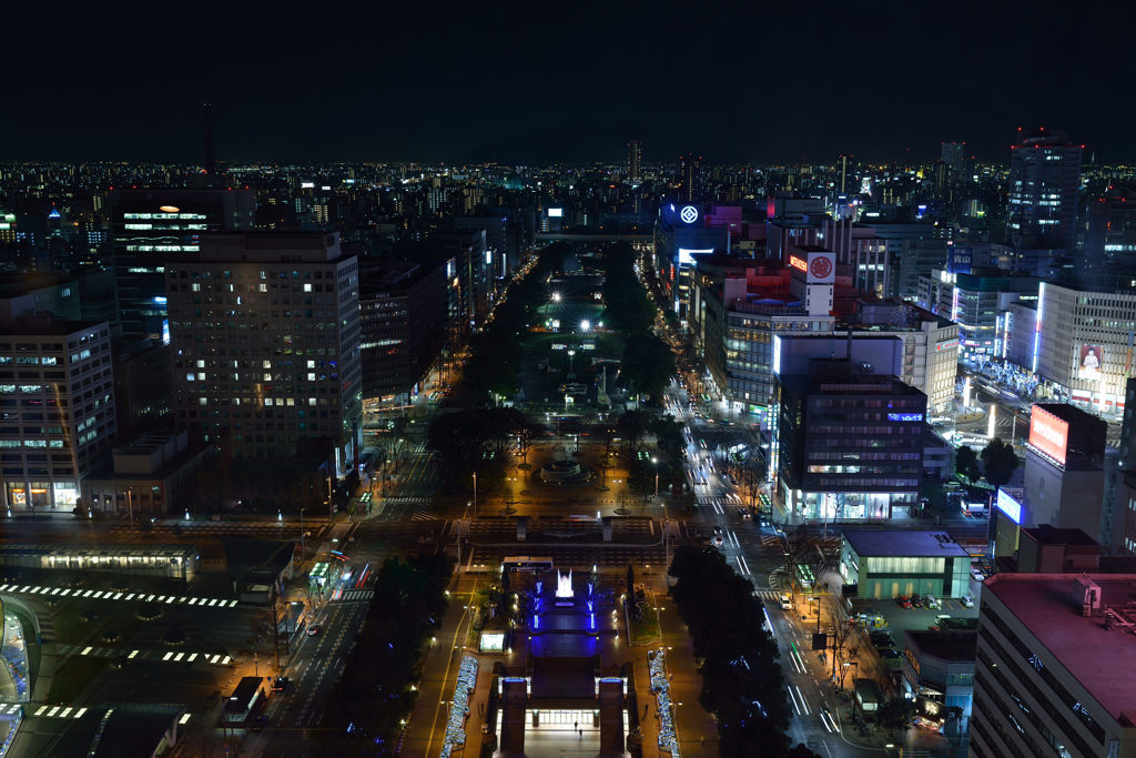 名古屋ＴＶ塔から望むセントラルパーク