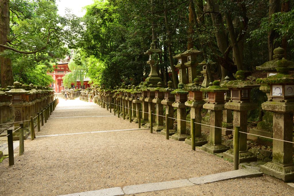 春日大社参道